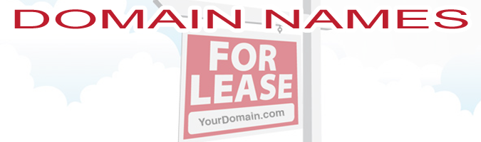 The wave of the future: domain names for lease.