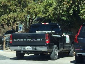 tree removal service round rock