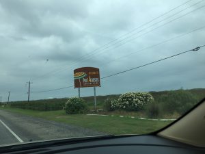 Welcome to Port Aransas
