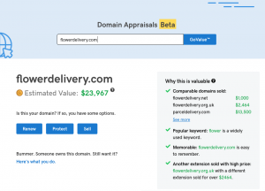 GoDaddy Domain Appraisal Tool