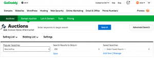Domain Auction Aftermarket